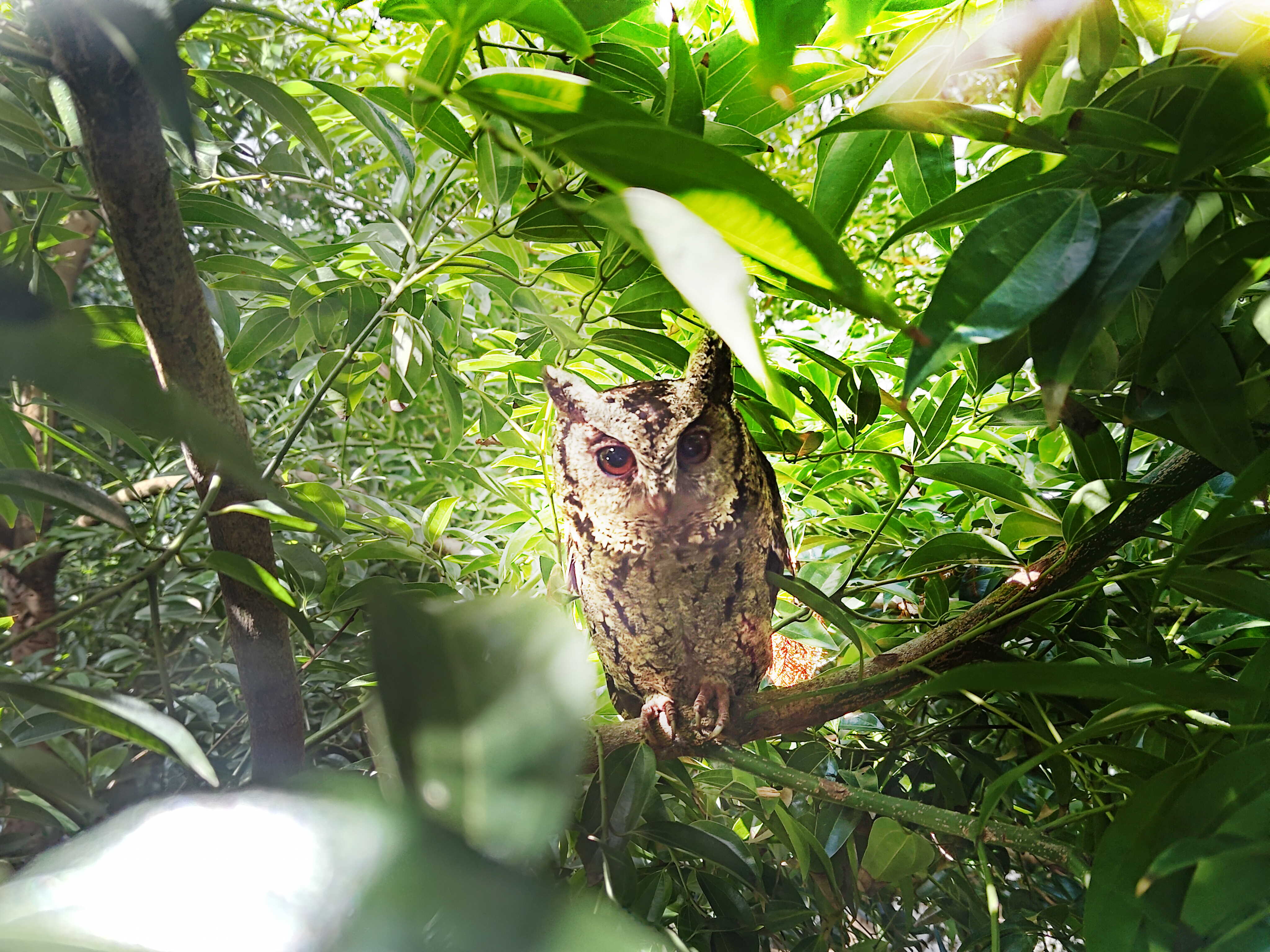 LEYU�پW�����ᳫ����G���16���ԁ���ȫ����S�^(q��)ֲ������f������͸��S�^(q��)��ľεȻ�������q��ɭ�ֹ��S���ɞ��S������ė�Ϣ��