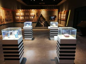 展會展廳裝修設(shè)計(jì)展示設(shè)備制作工廠加工